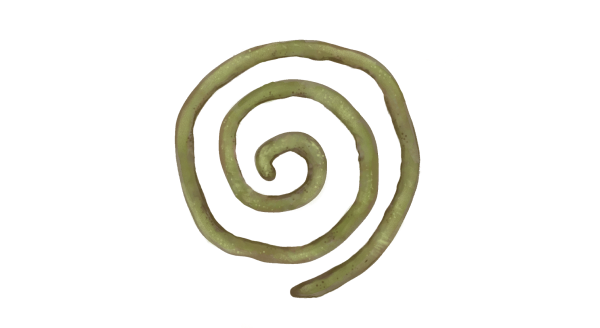 “Social Circle” Workshop in PERSON